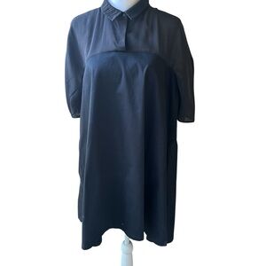 COS Shirt Dress